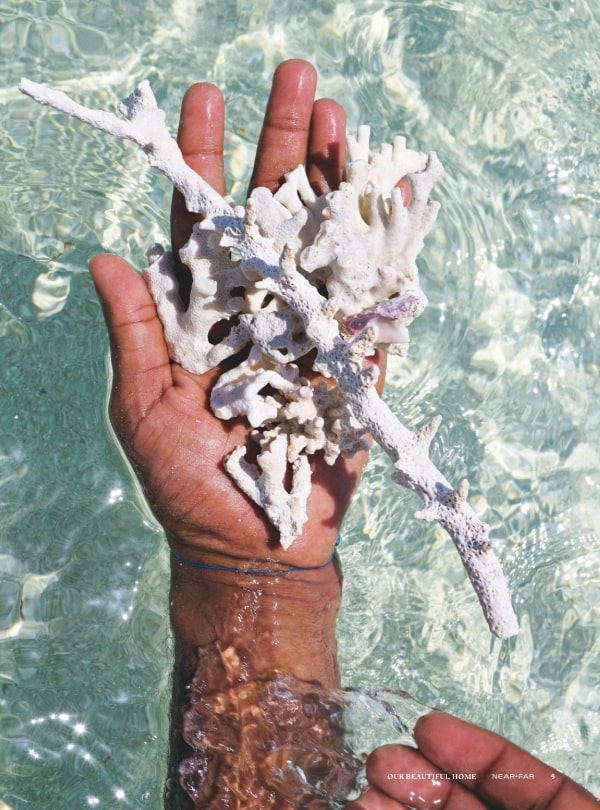 NEAR+FAR Volume I: Welcome to Near+Far