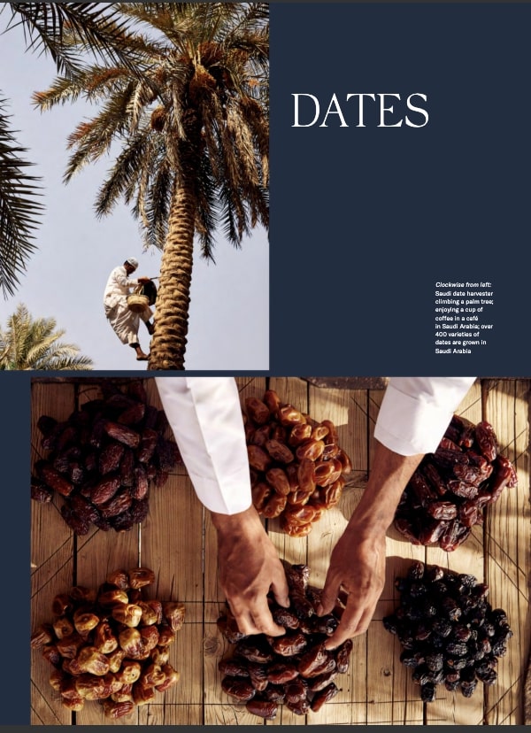 NEAR+FAR Volume I: Welcome to Near+Far