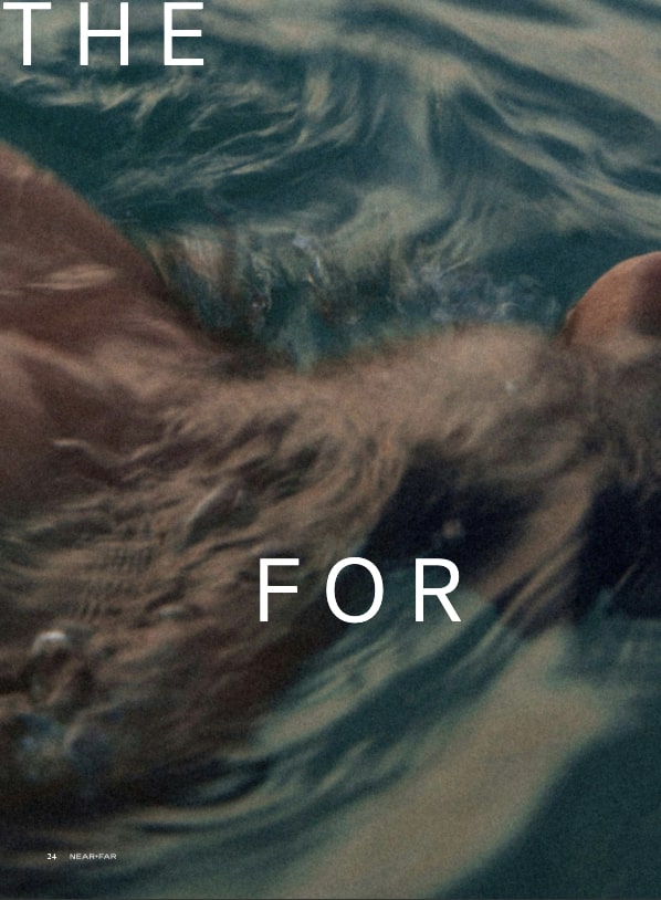 NEAR+FAR Volume I: Welcome to Near+Far